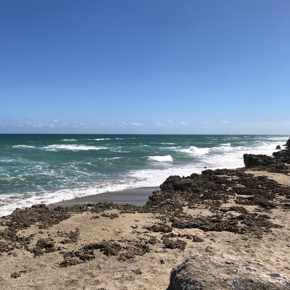 Meet your Posher, Paige - Picture 1 of 1